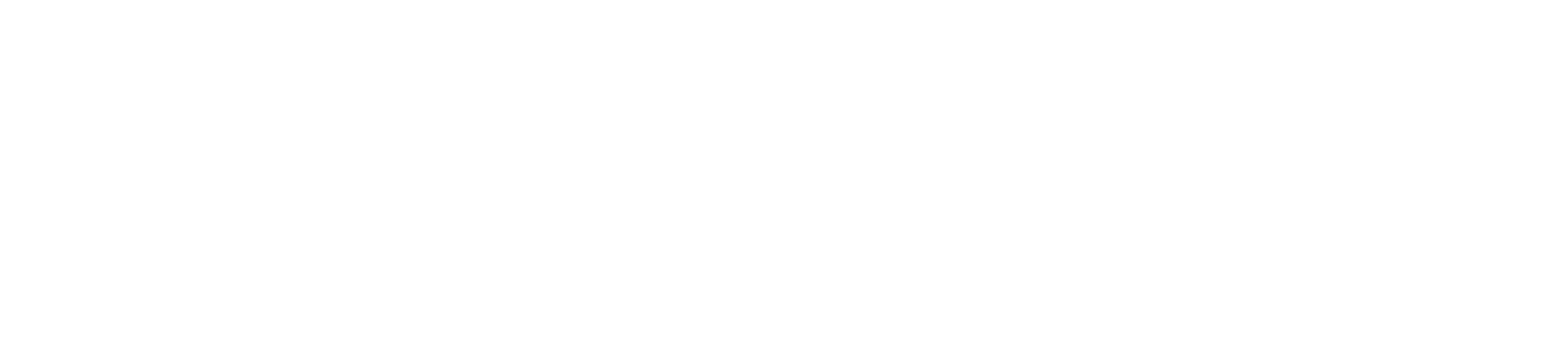 Logo IRIDEOS bianco